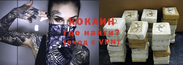 дживик Абаза