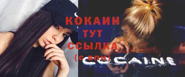 индика Абинск