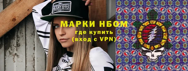 индика Абинск