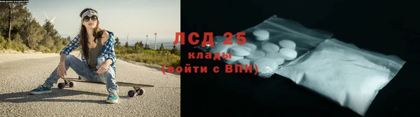 индика Абинск