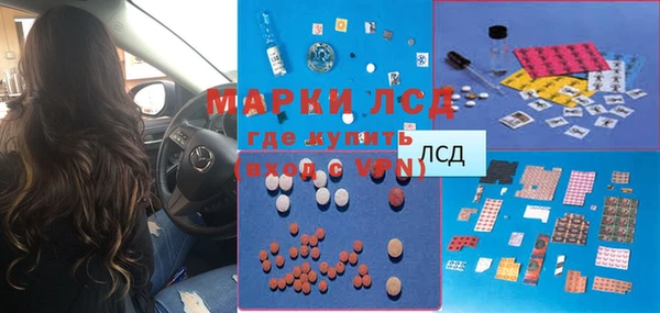 индика Абинск