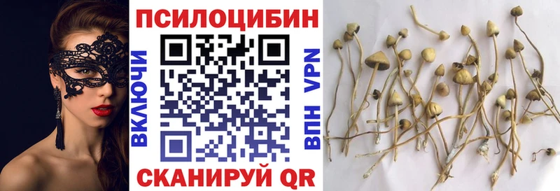 Галлюциногенные грибы ЛСД  Вилючинск 