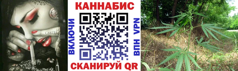Конопля тримм  купить наркотики сайты  Вилючинск 